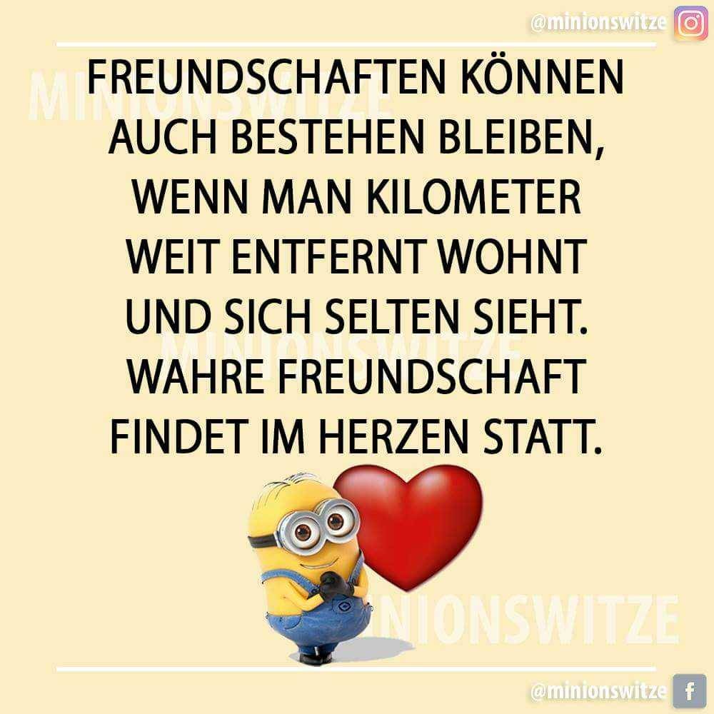 Minionswitze Und Sprüche