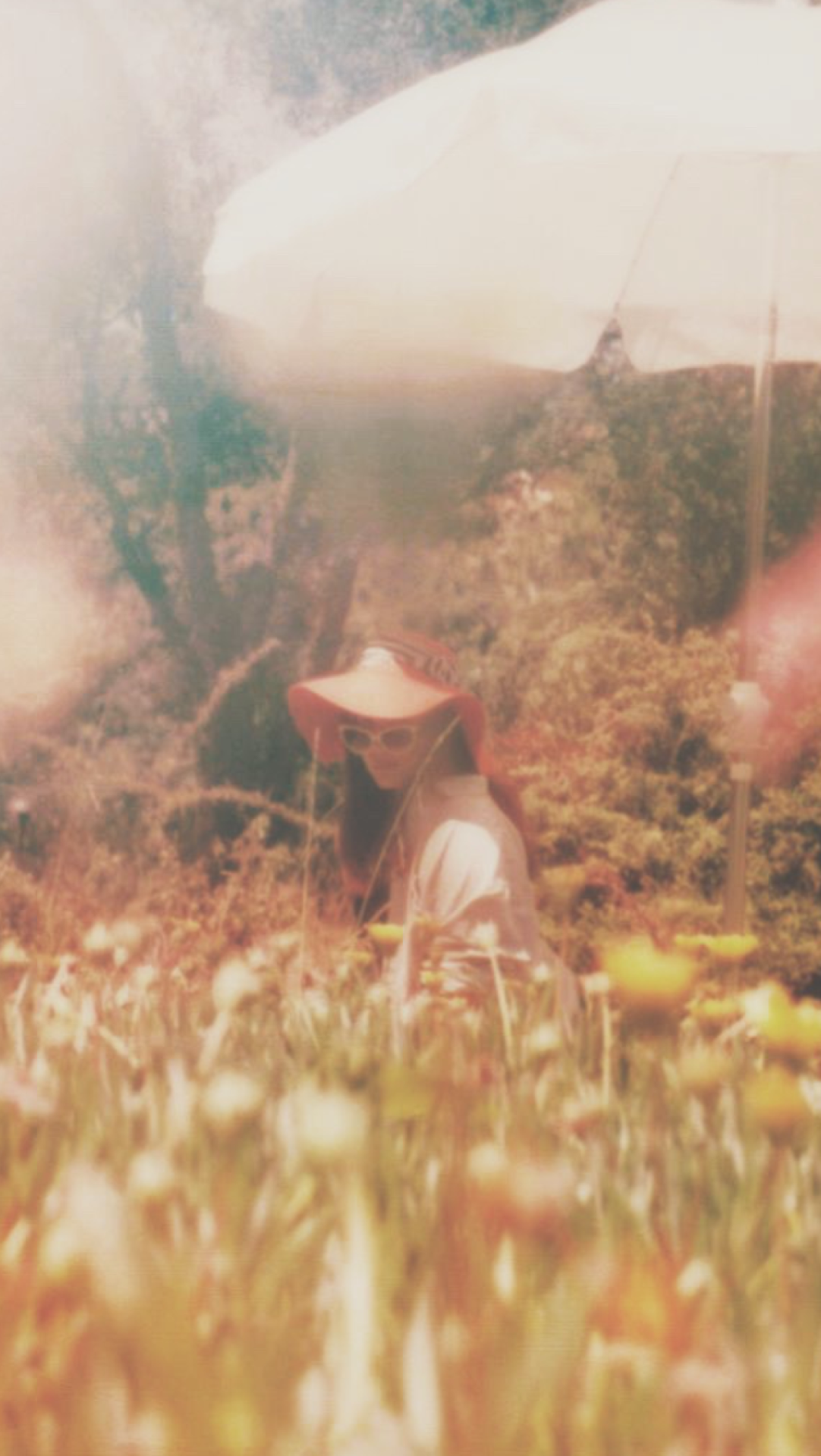 Lana Del Rey Headquarters Buterawallpapers Lana Del Rey Lana Del Rey Headquarters Buterawallpapers Lana Del Rey