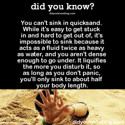 Quicksand Tumblr