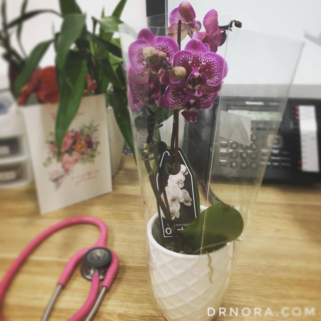 A lovely way to start the week! Thank you to my kind patient for this beautiful Orchid 💐Wishing you all a great week ahead 😊
Take care & stay healthy
Dr Nora x
#blessed #grateful #thankyou #orchid #pink #pretty #present #kindness #flowers #beautiful...