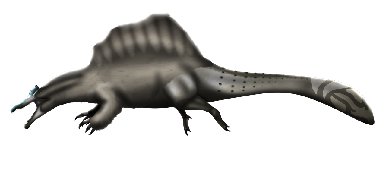 spinosaurus aegyptiacus dinosaur