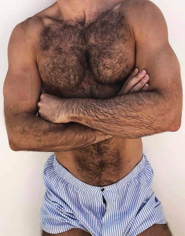 Middle Aged Guys With Hairy Chests Page 448 Lpsg 3466