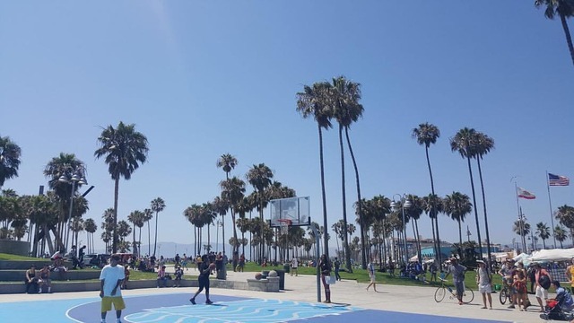 Ballin in venice beach Ballin in venice beach