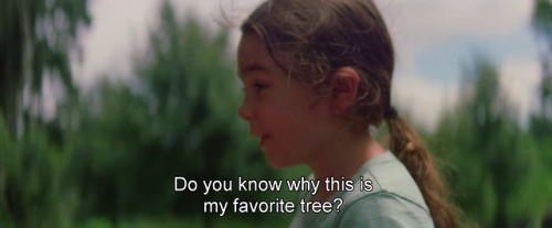 freshmoviequotes:The Florida Project (2017)