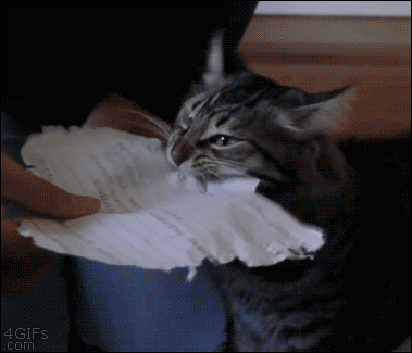 tumblr_nb18fqrBOo1sm2tcyo1_400.gif