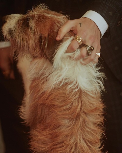 harrystylesarchive:gucci: Hand and hound: peeking on set with...