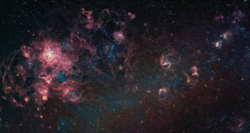 just–space:The Large Magellanic Cloud Photographed by Eddie...