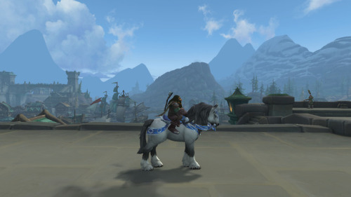 Dapple Grey horse. Obtained from the Storm’s Wake Quartermaster...