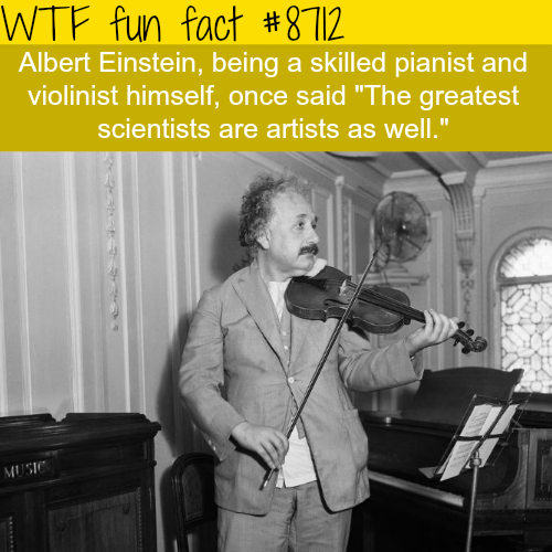 Albert Einstein Wtf Fun Facts