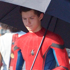 Spiderman homecoming behind the scenes Tumblr_o9k4bdFPwC1vujrrzo5_250