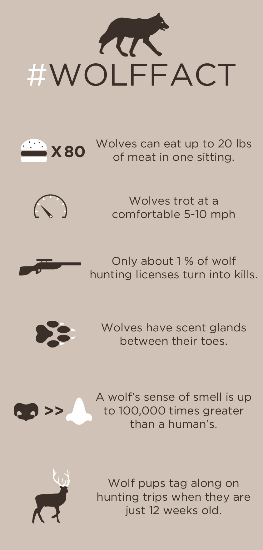 6 Easy Facts About Wolves | Amazing WTF Facts