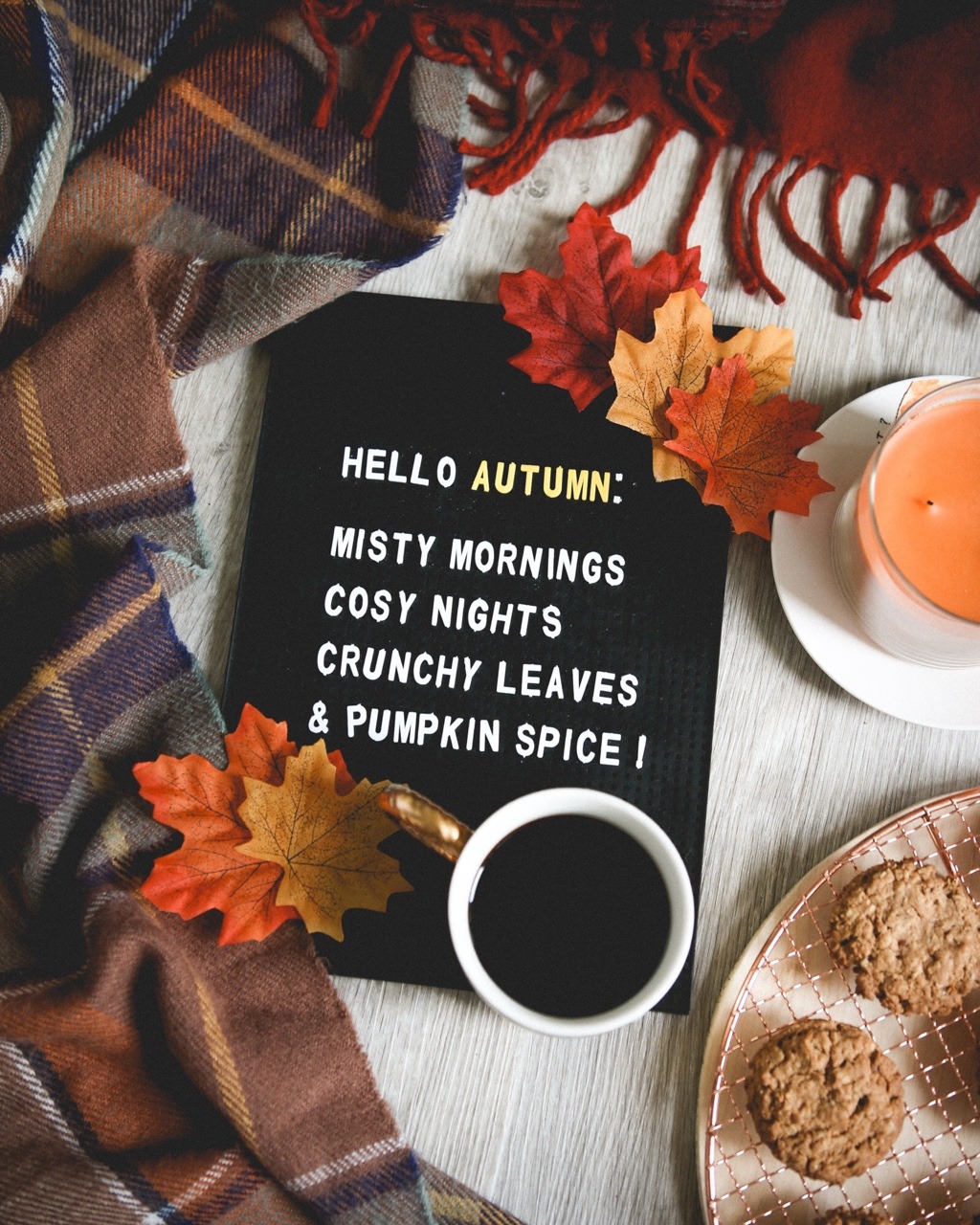 hello autumn on Tumblr