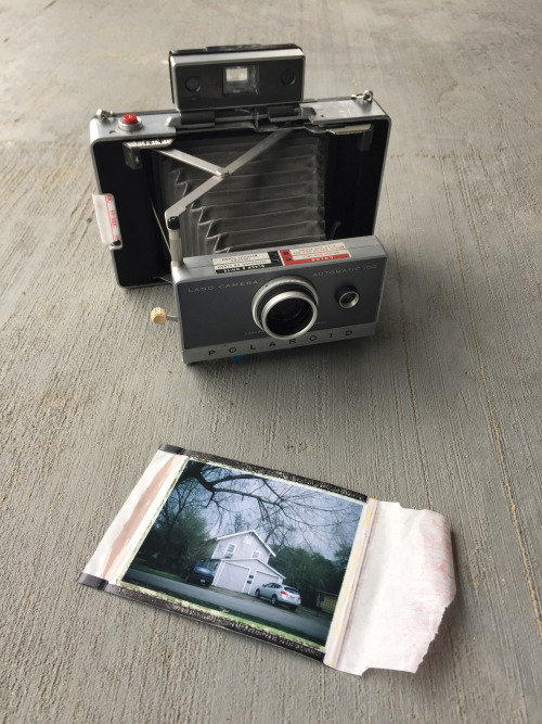 Polaroid Home Porn - polaroid automatic 100 land camera | Tumblr