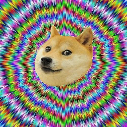 Wow! Such cool! So Doge! Much picture! | DOGE