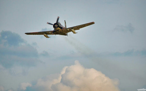 chadscapture:Douglas AD-1 Skyraider “Wiley Coyote”