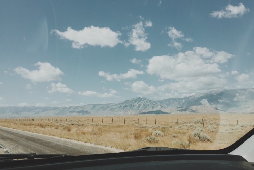 suomikid:Cruising through the golden plains.