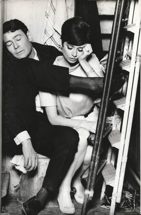 myfavoritepeterotoole:Audrey Hepburn and Peter O'Toole - Photo...