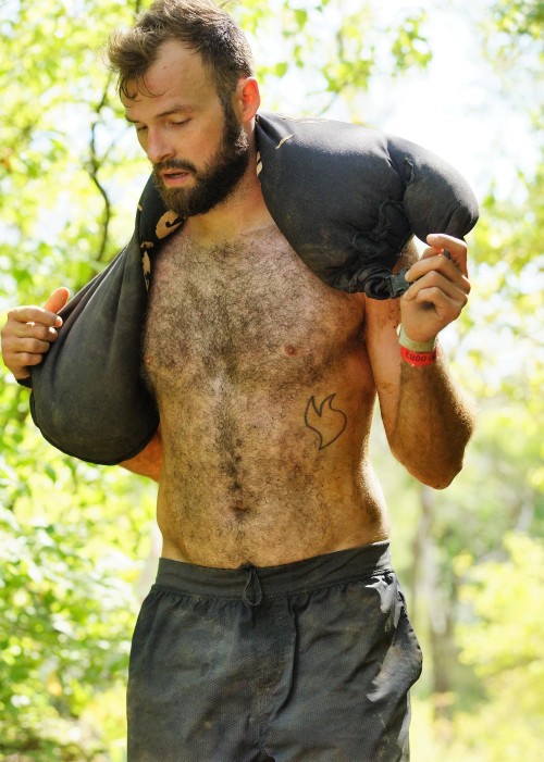 beardcurator