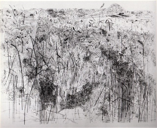 Anthony Gross Wheat field, etching, 1966 (30.4 x...