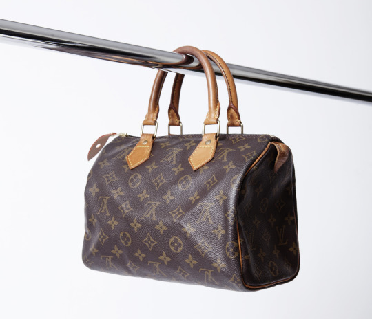 Parana rivier schijf Pedagogie Dit wist je nog niet over je Louis Vuitton tas - The Next Closet Times