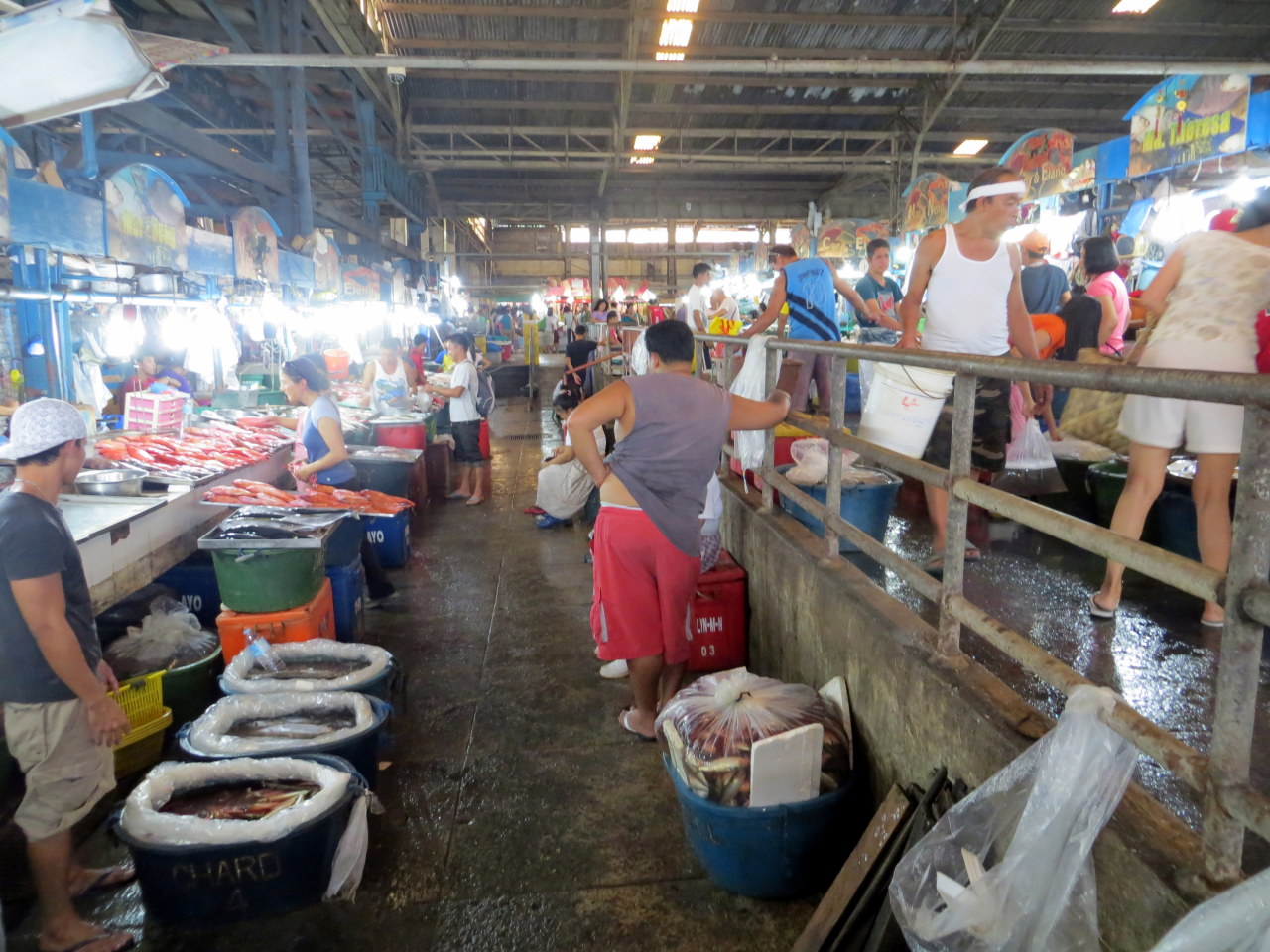 Seafood In Manila S Farmers Market In Cubao The   Tumblr Mx30u97GDy1rs7b6lo10 R1 1280 