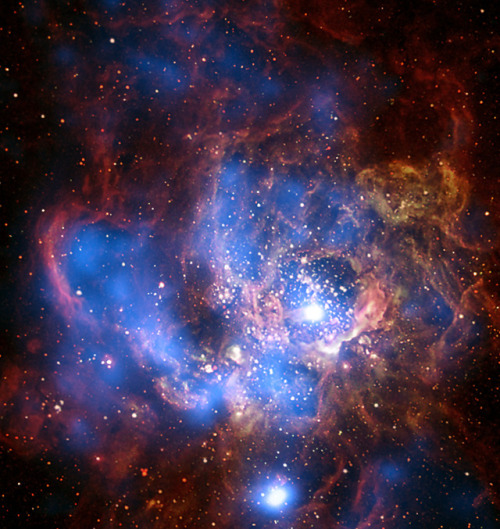 the-wolf-and-moon:NGC 604, Petals of Stardust