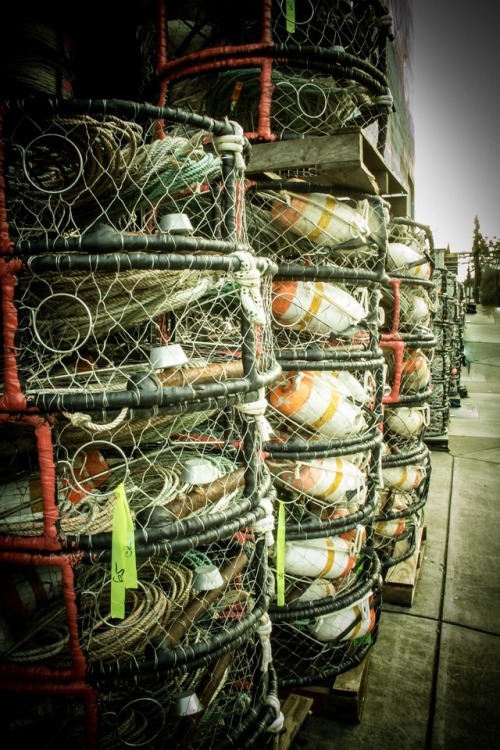 Crab Pots, Newport, Oregon - December, 2016