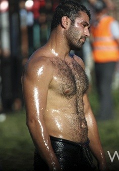 Hairy Turkish Machos For Gays