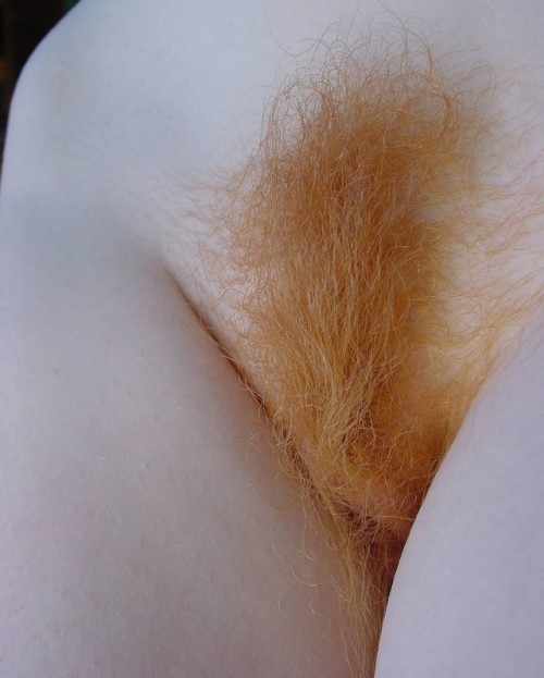 Hairy's to Cherish