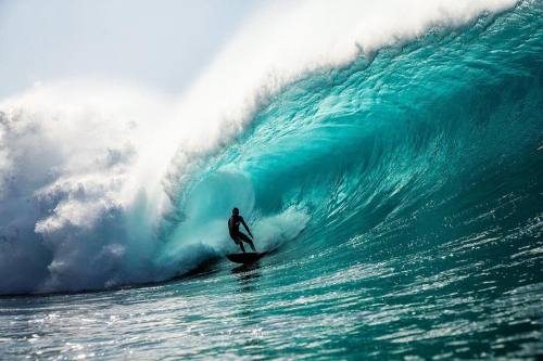 Zak Noyle Nathan Fletcher Pipeline shore north shore hawaii photography surf photography photographer on tumblr wave waves barrel tube surfing surfer surfboard surf travel live explore adventure wanderlust summer dream big high wild summer times summer vibes vibes
