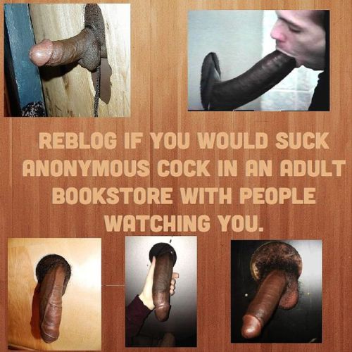 mikkitryst:bjbob:Being watched as I service cock’s is a vital...