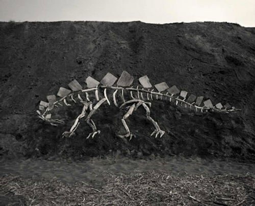 mymodernmet:For his series Driftwood Dinosaurs, Japanese...