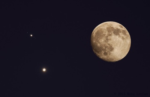 spinningblueball:Moon With Venus & Jupiter!  Some of my...