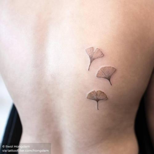 By Ilwol Hongdam, done in Seoul. http://ttoo.co/p/30623 ginkgo leaf;small;single needle;leaf;back;hongdam;facebook;nature;twitter