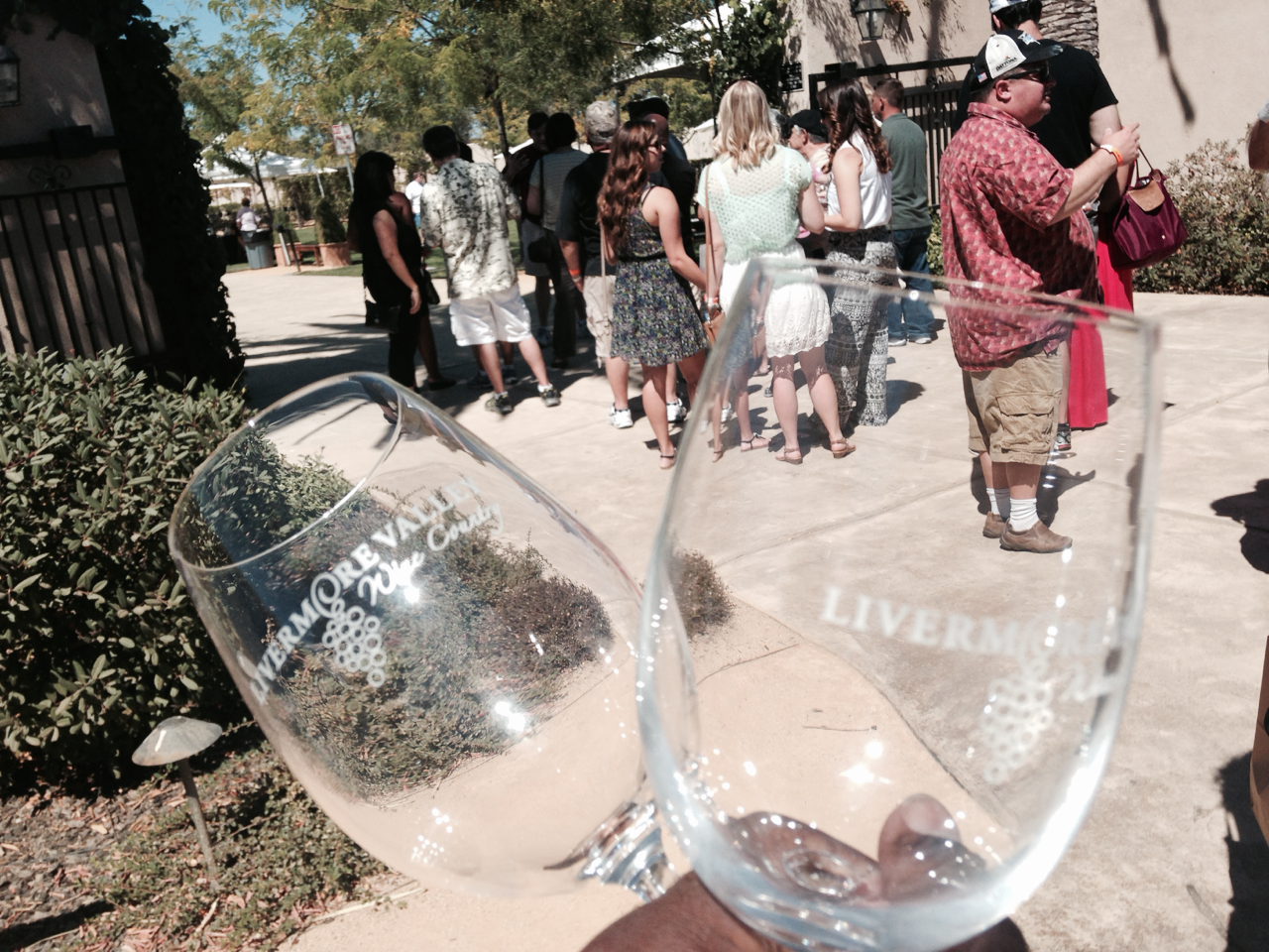 Camerafornia — Great time capturing the Livermore wine festival!