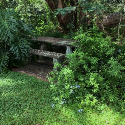 doormice:a cute stone table where the fae like to have tea …