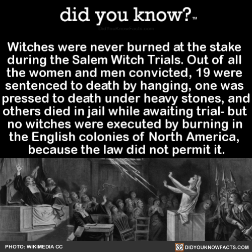 did-you-kno:Witches were never burned at the stake during the...