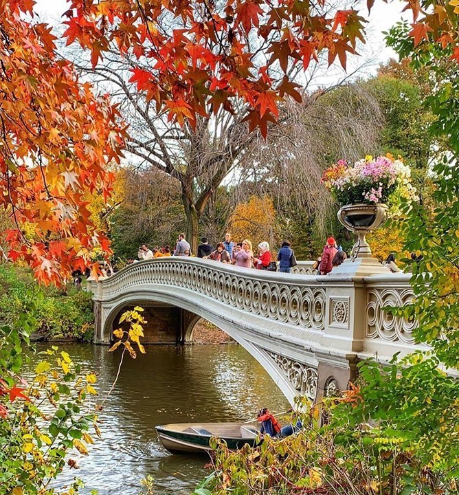 Bow Bridge, Central Park 📷 @bbfr21