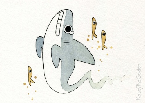 kaseythegolden:A shark and it’s many forms.Rock, poison,...