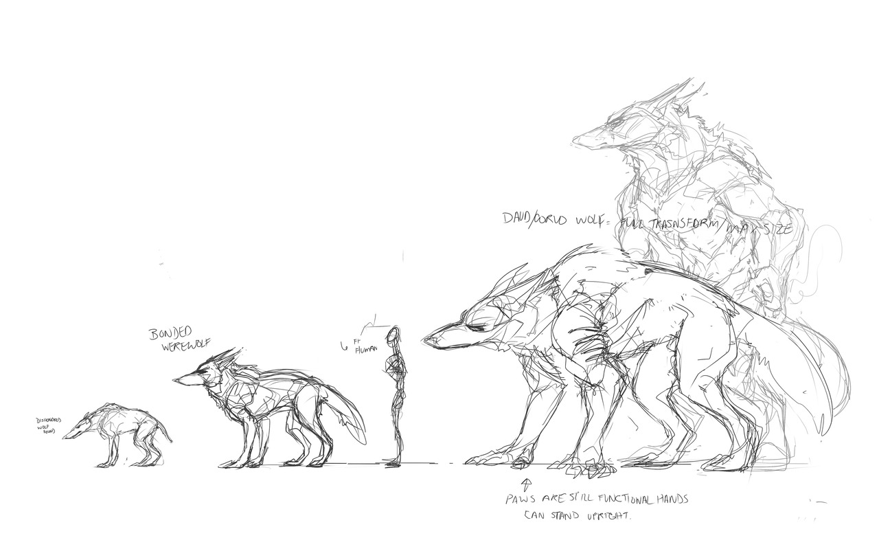 Werewolf Size Chart