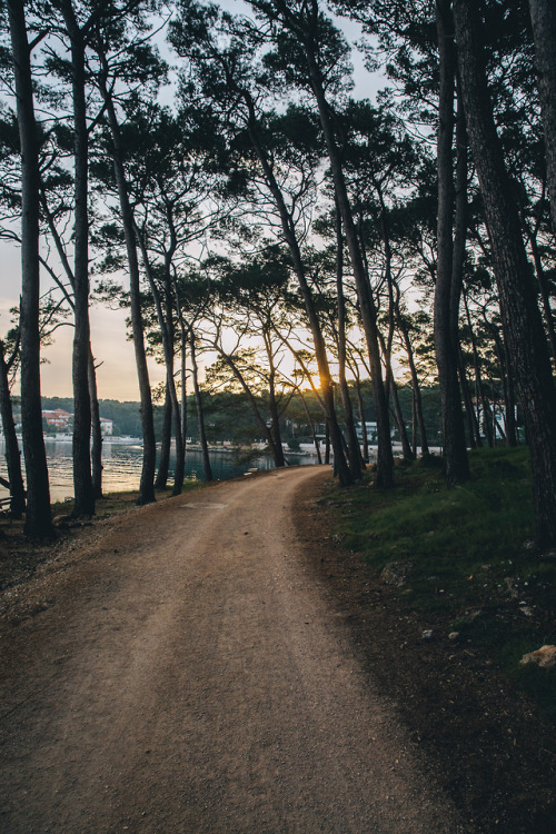 samhorine:losinj // first light - catching sunrise at the...