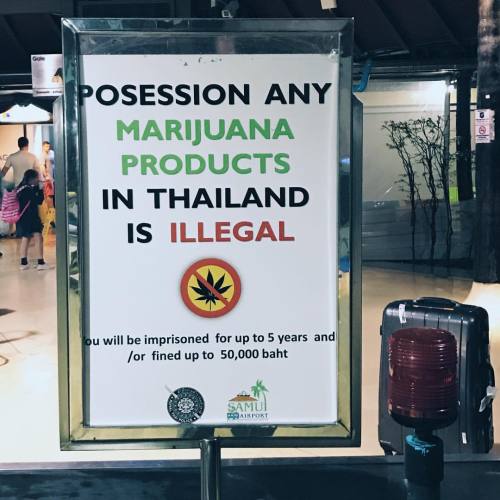 You don’t say… (at Samui Airport)