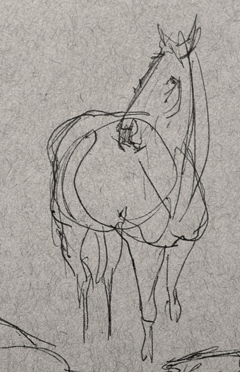 klang-art:It’s really hard drawing horses from life. They move...