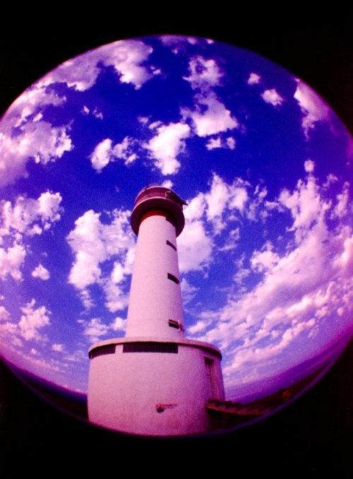 lomography lomo fisheye no. 2 fisheye film film photography analogue photography analog photography
