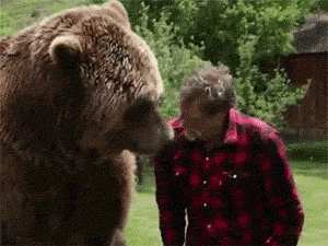 funny animals bear atack gif | WiffleGif
