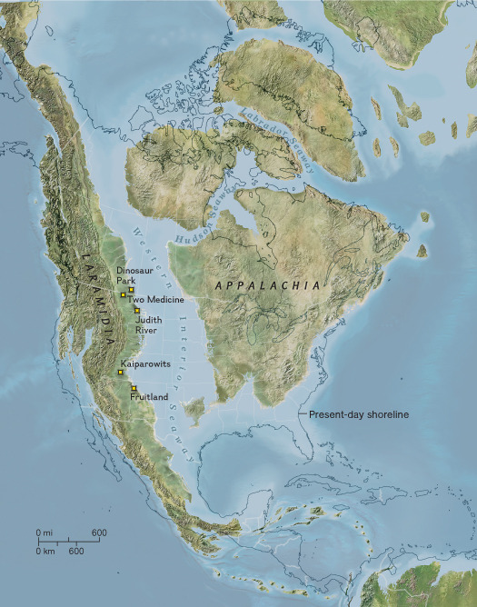 Laramidia Laramidia Was An Island Continent That