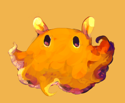 dumbo octopus on Tumblr