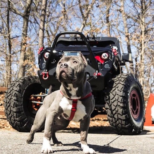 Jeep Runner