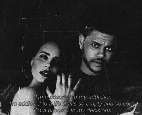 the weeknd quotes on Tumblr