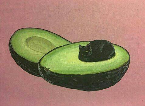 cute avocado | Tumblr